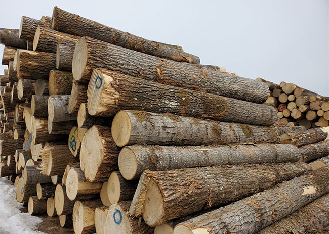 scierie Gaudreault Bois Laurentiens