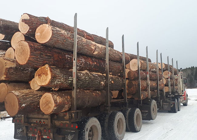 scierie Gaudreault Bois Laurentiens